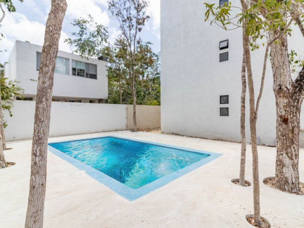 Swimming pool surrounded by trees between two residential buildings at Kolo Tulum
