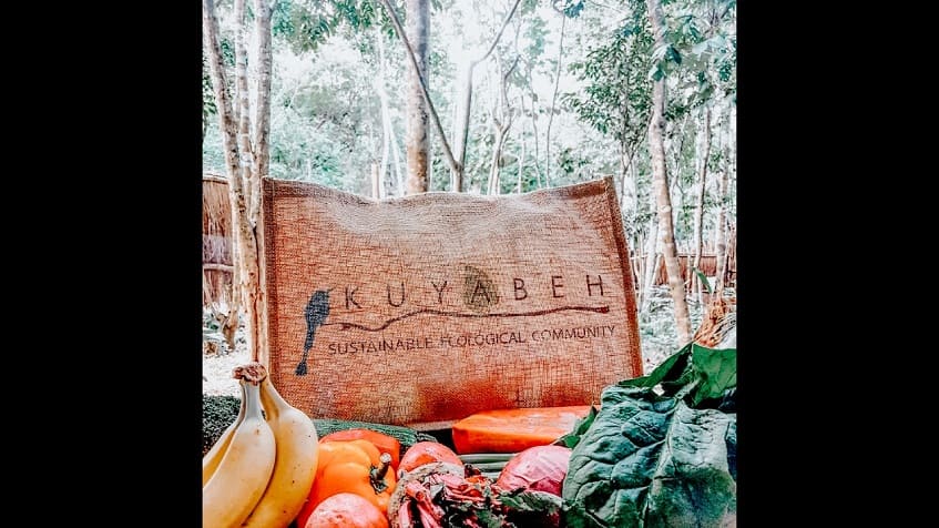 Sustainable ecological community sign in front of the plate of fruits at Kuyabeh Tulum