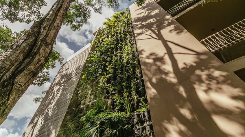 Residential building with a plant wall at Zanza Tulum