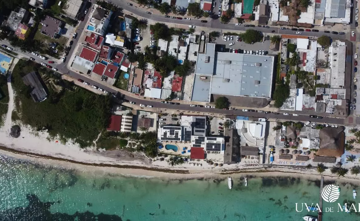 Aerial view of the beach and the surrounding buildings in Uva de Mar Puerto Morelos