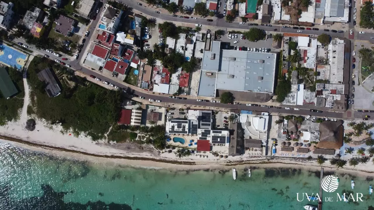 Aerial view of the beach and the surrounding buildings in Uva de Mar Puerto Morelos