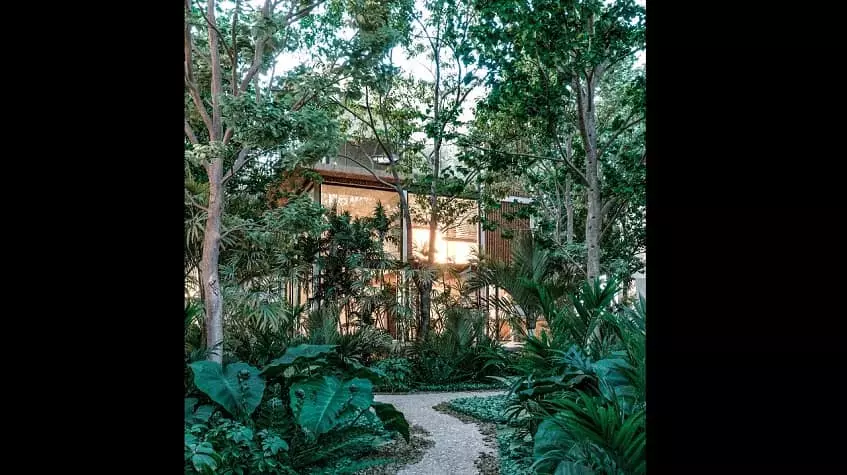 House facade covered with jungle trees at Trobbu Tulum