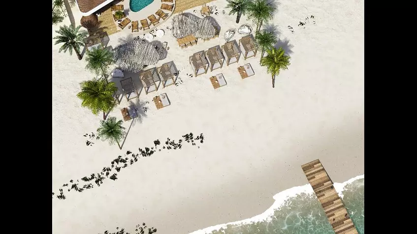 Aerial view of the beach with palm trees and a bridge at Mara Bella Cancun