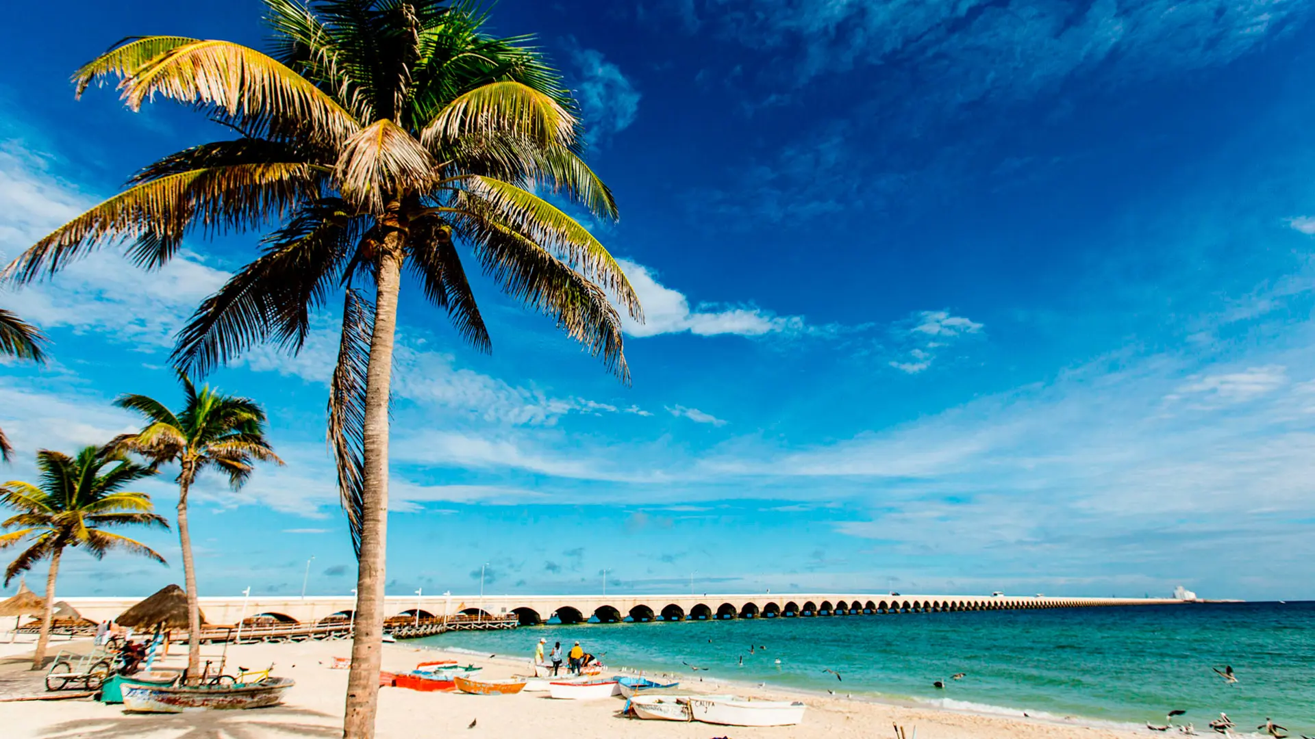 Merida playa de progreso yucatan - Plalla Real Estate