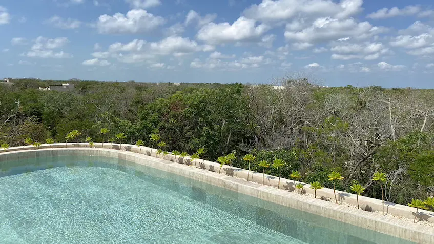 Pool Rooftop Joyn Living Tulum