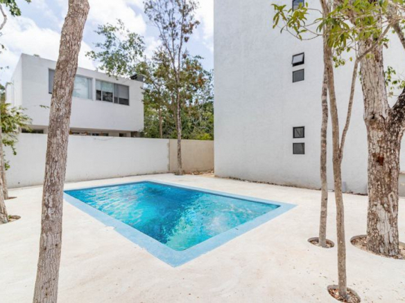 Piscina rodeada de árboles entre dos edificios residenciales en Kolo Tulum