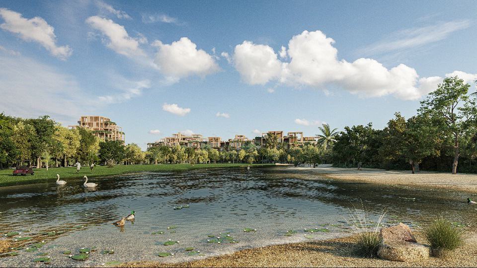 Lago con cisnes y edificios residenciales al fondo en The Village Residence