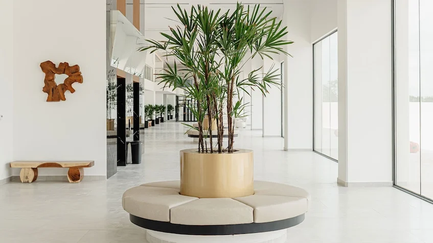 Pasillos en Planta baja en Valle Aurora Cancun