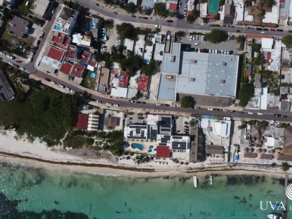 Vista aerea de la playa y edificios alrededor en Uva de Mar Puerto Morelos
