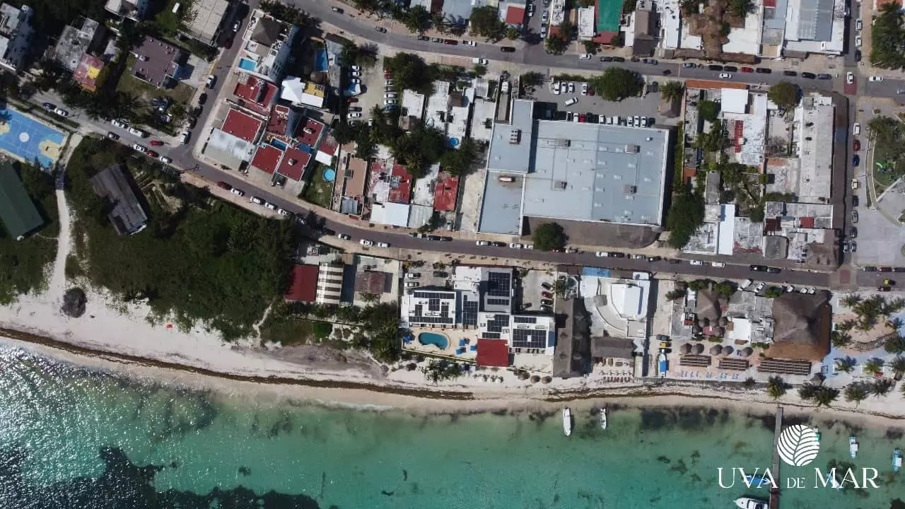 Vista aerea de la playa y edificios alrededor en Uva de Mar Puerto Morelos