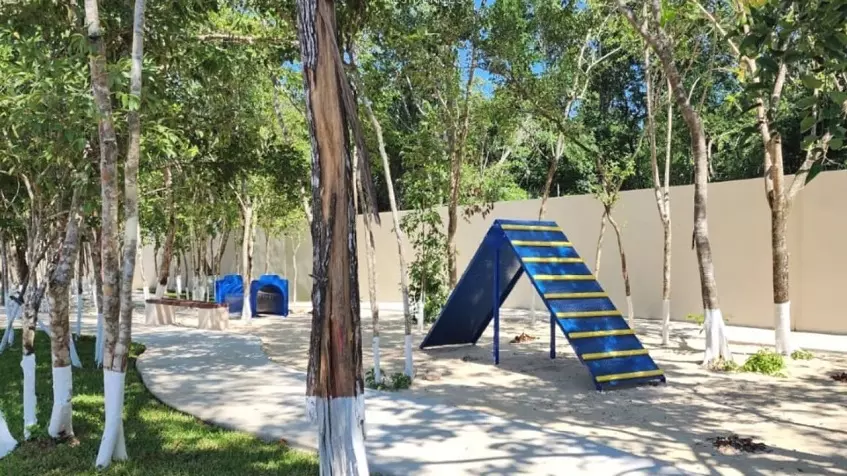 A road with a garden around it and several trees at La Selva Residences