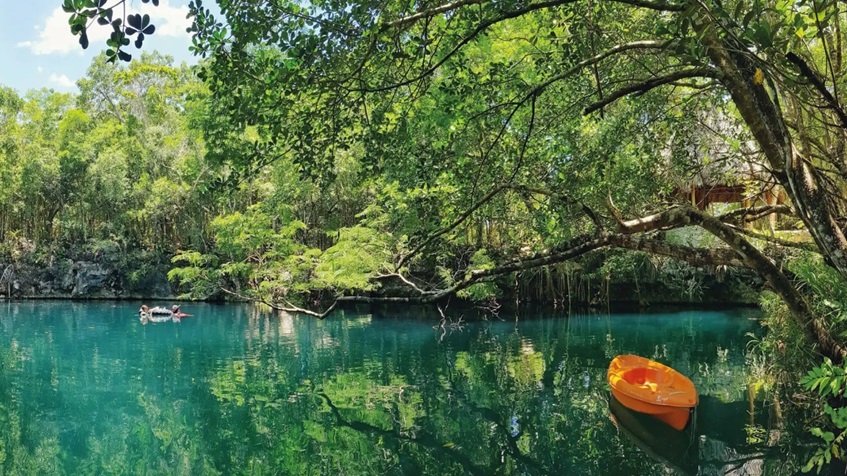 cenote chikin ha cozumel guia de viaje - Plalla Real Estate