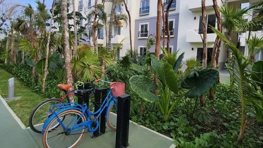 Un estacionamiento con bicicletas y plantas alrededor