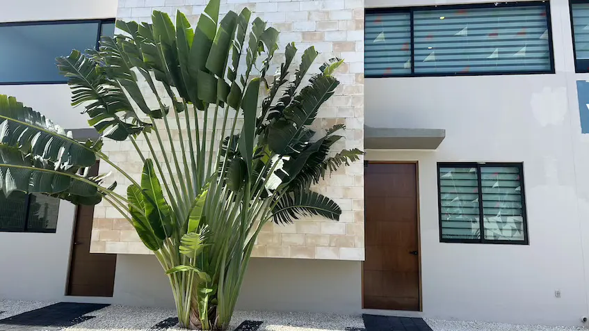 Fachada casa paraiso playa encantada