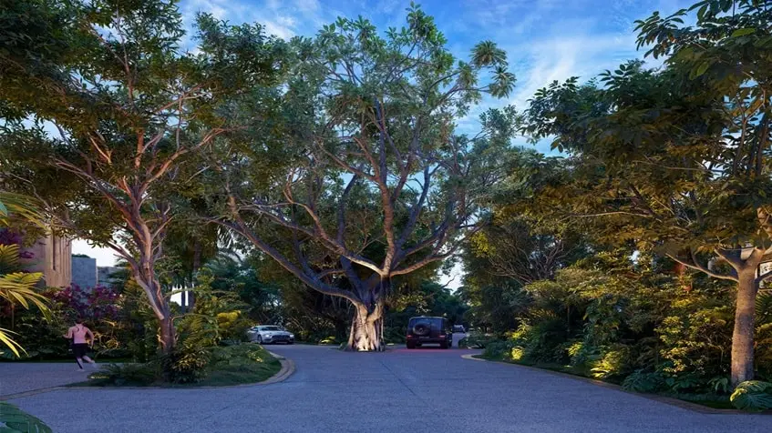 Une route avec des rues et des arbres autour d'elle à El Amate Playa del Carmen