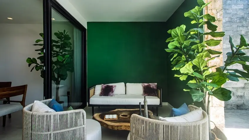 Una terraza en Macondo Playacar Playa del Carmen