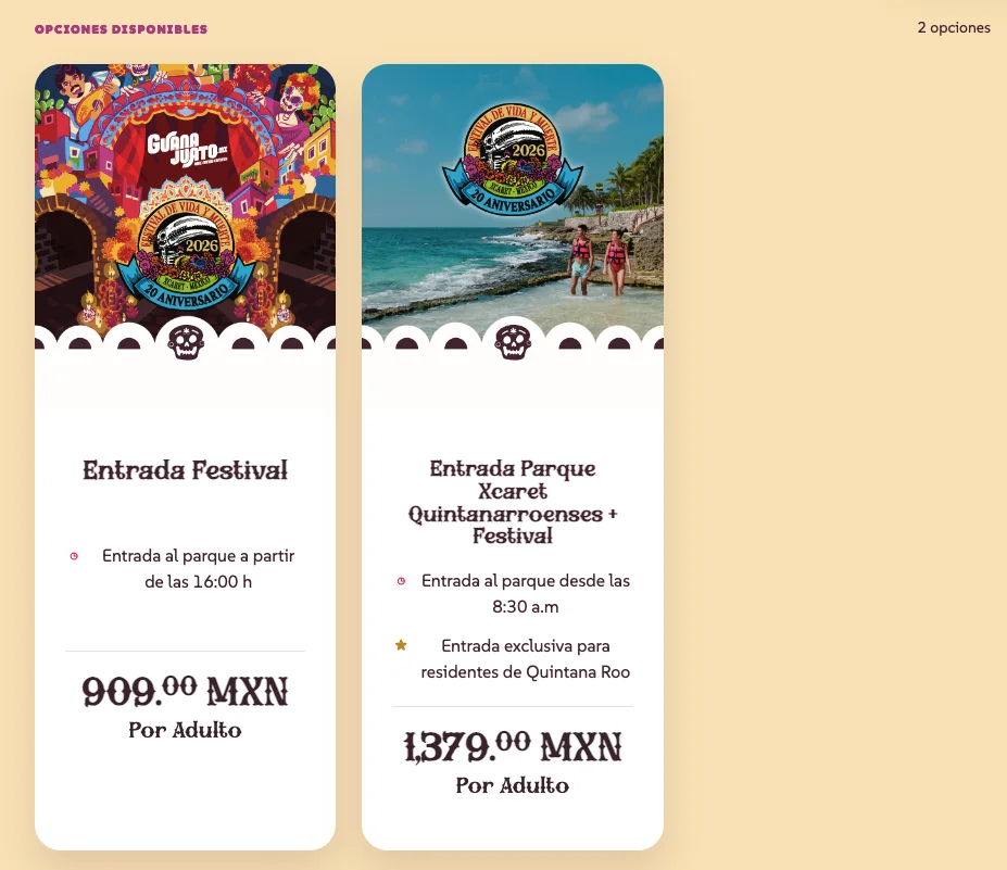 1. Entrada Festival (Acceso Tarde)