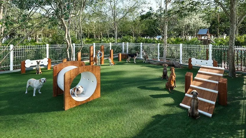 Pet park en Nortico Residencial Merida
