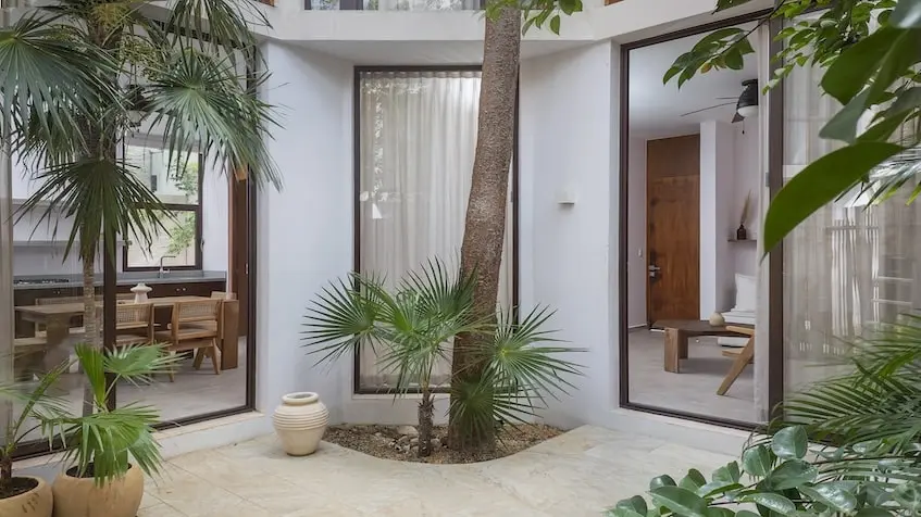 Jardin avec arbres dans une villa à Sabella Tulum