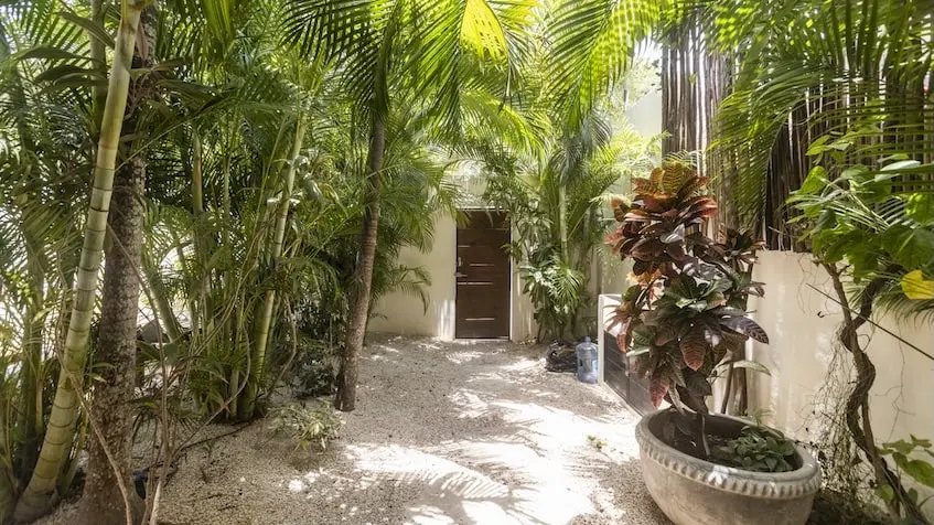 Garden with green area in Casa Caramelo Tulum
