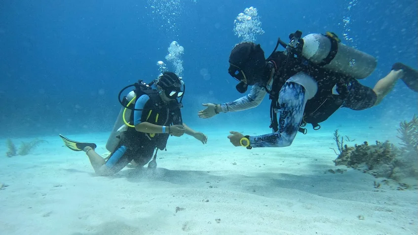 Buceo Paraiso Mahahual Maya