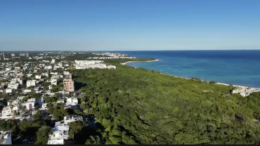 Vue aérienne des arbres et de la mer Portofino Playa del Carmen