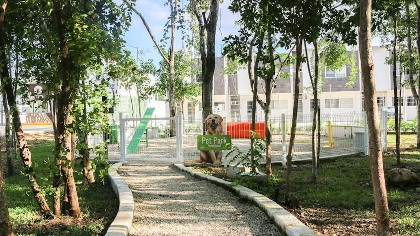 Pet Park en Almazara Playa del Carmen