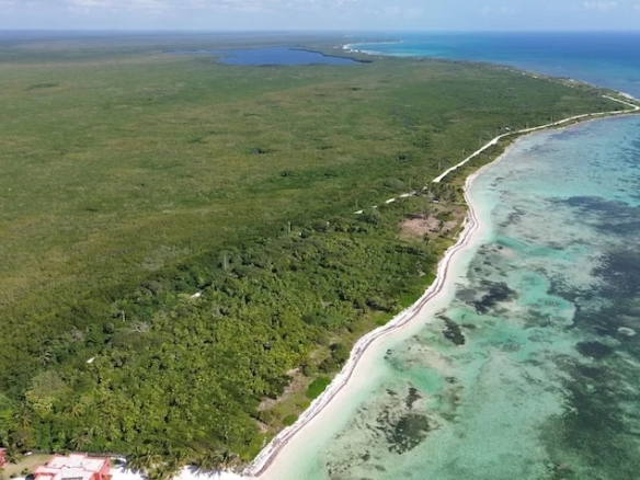 Vista aerea de los lotes frente al mar en Jaal Ja Mahahual