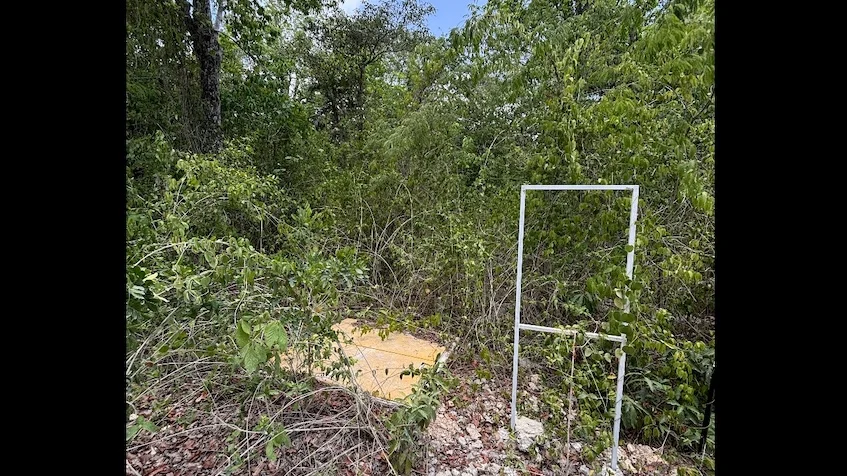 Entrada que incluye vegetación densa, árboles de Terreno en Venta en Chemuyil Cerca de Tulum.