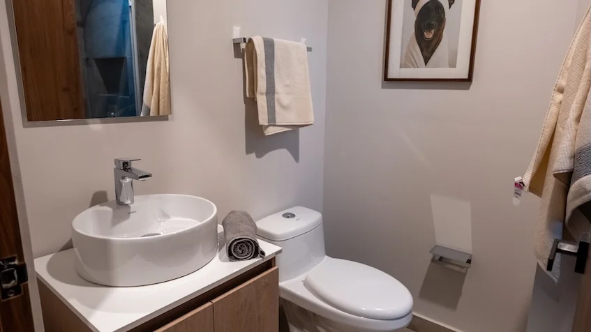 Vista de baño interior que incluye un lavabo redondo sobre un mueble de madera, un inodoro blanco, un espejo vertical, un cuadro decorativo con la imagen de un perro y toallas colgando de KUN 21° 86° Cancún