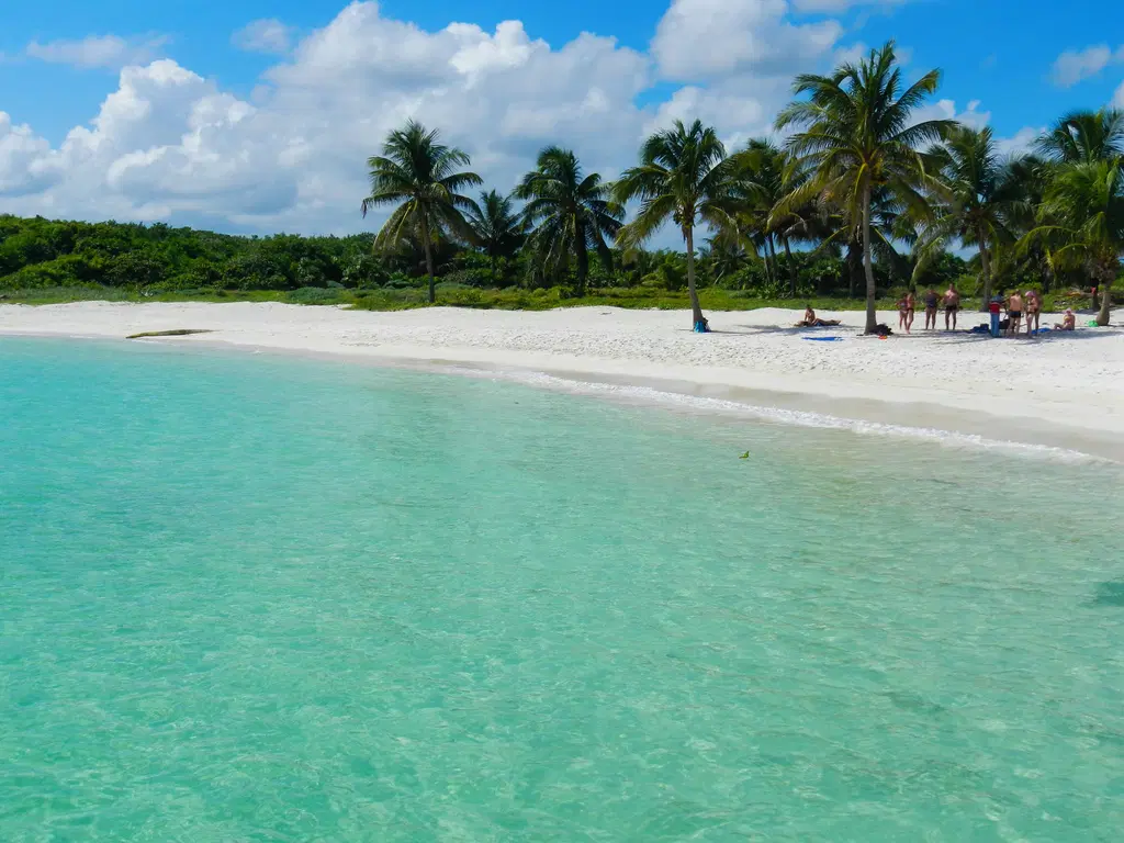 Terreno con vista de la playa que incluye palmeras en la costa de Terreno en Venta en Chemuyil Cerca de Tulum