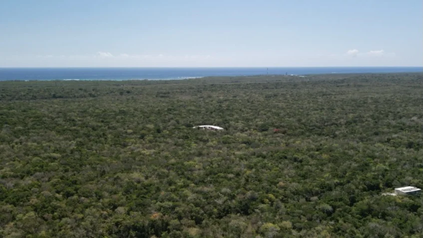 Vista aérea que incluye una extensa selva verde, algunas estructuras a la distancia, el mar en el horizonte de Terreno en Venta en Chemuyil Cerca de Tulum.