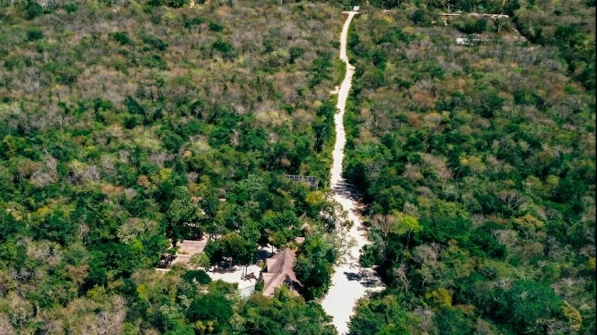 Vissta aérea que incluye un camino rodeado de extensa selva, abundante vegetación verde y construcciones de Terreno en Venta en Chemuyil Cerca de Tulum.